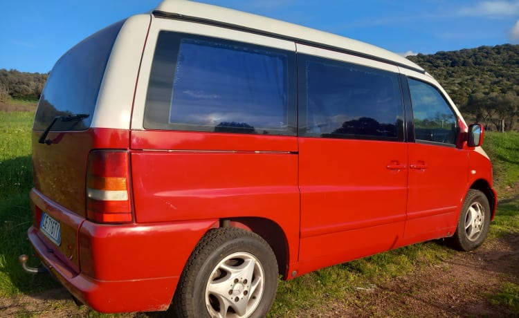 VAN GOGH – MERCEDES MARCO POLO - VANTASTIK RENTAL CAMPER