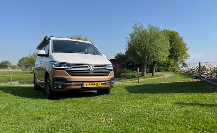 2p Volkswagen bus uit 2023