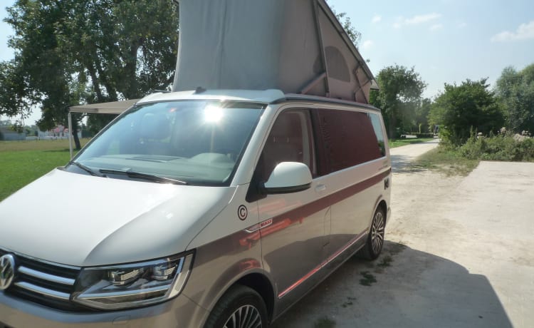 Bulli – VW California Oceano EZ 2023