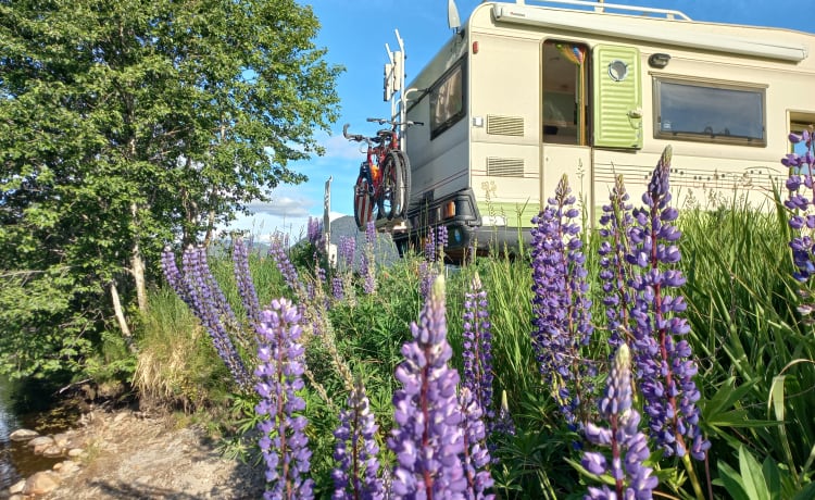 Camping-car vintage frais et confortable, autonome et résistant au corona