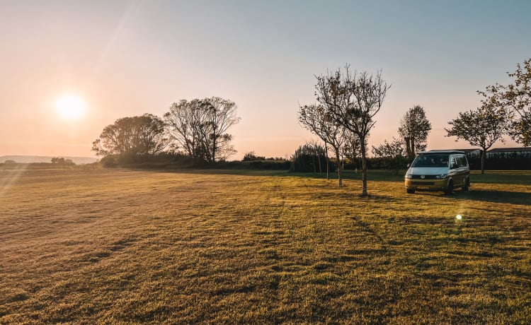 Billie – the Volkswagen T5 camper for 2 adults and 2 children 