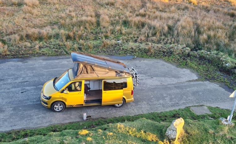 Dixie – Camping-car de luxe Volkswagen T6 automatique 4 couchages à partir de 2020