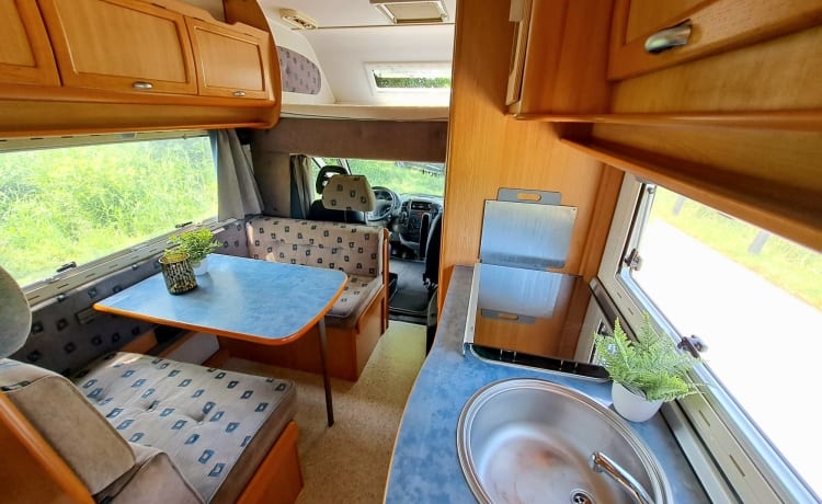 Cas – Camper familiare - letto a castello