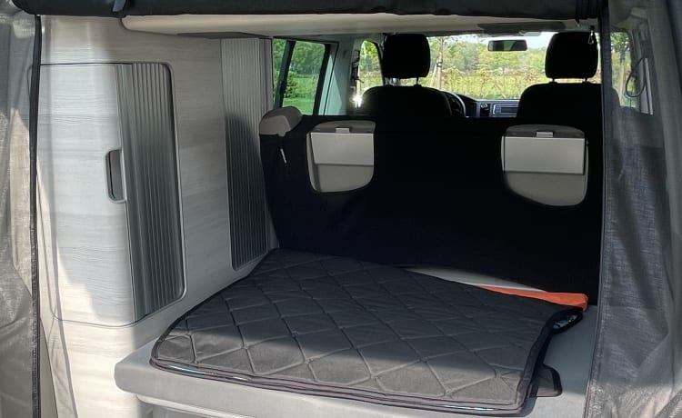 De Witte – Avontuurlijke Volkswagen California T6 - 2 tot 4 pers 