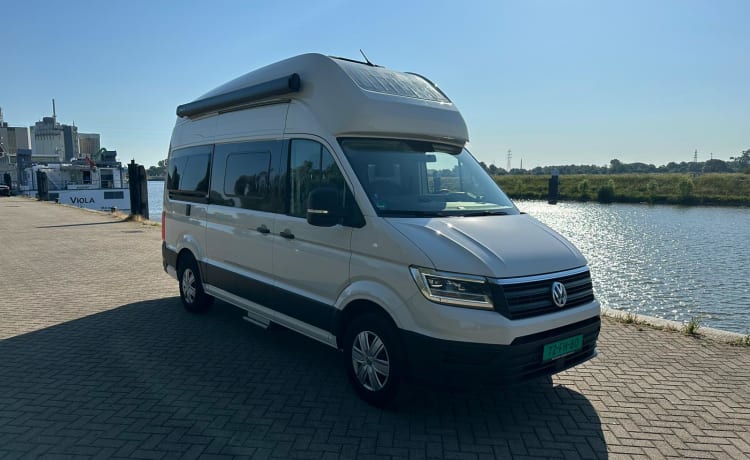 Witte XL – VW Grand California (4p) 600, uit 2022