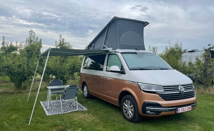 VW California Ocean T6.1 2022