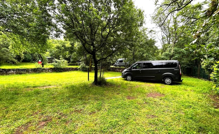 Nugget – Ford Nugget Plus 2023 with pop-up roof