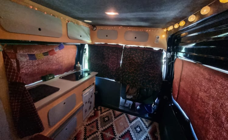 3p Ford campervan from 2002