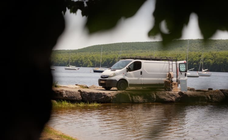 Opel Vivaro L2H1 COSY + ROOFTOP TERRASSE 