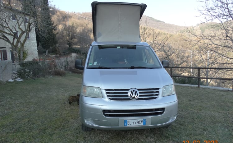 WOLLY – VOLKSWAGEN T5 CALIFORNIË WESTFALIA