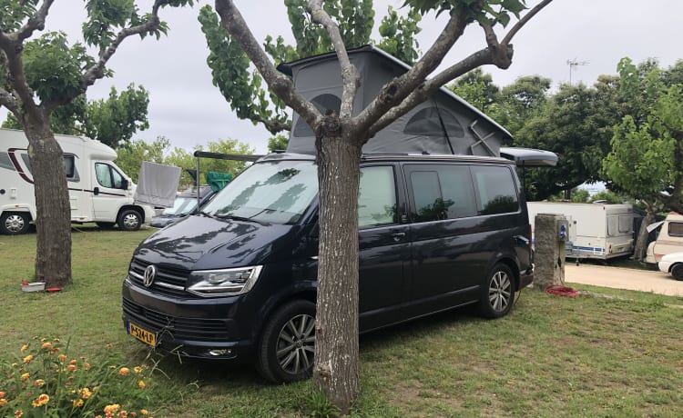 Luxe 4WD VW California (2019)