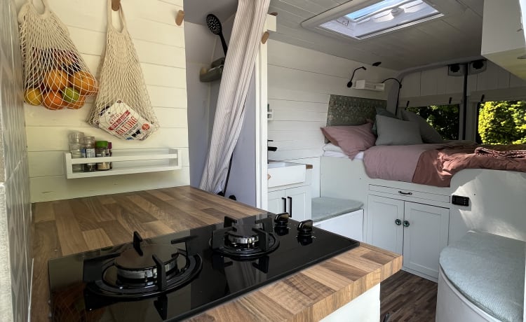 Big Bex – 2 berth Campervan