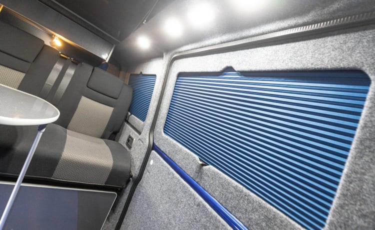 Racebus – 4-persoons Volkswagen campervan uit 2022