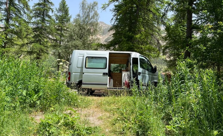 Fred – Cozy Bus Camper Automatic - Bringt Sie überall hin und zurück!