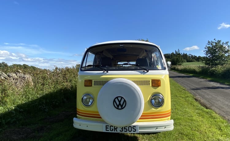 Oswald – Classic Campervan Hire Northumberland