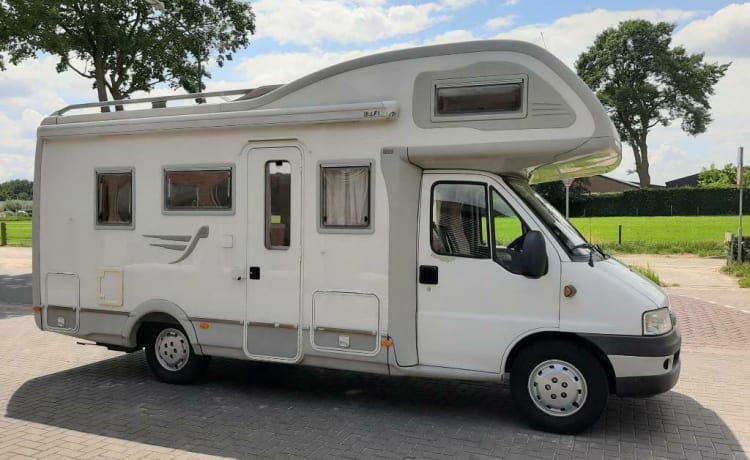 Camper 5 – Camper 5 - Fiat Ducato - De ideale familie Camper met 2 Stapelbedden.