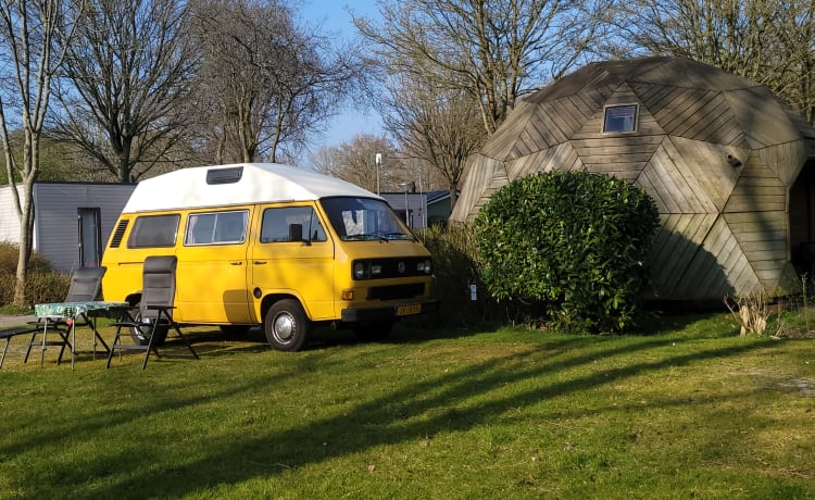 CHICO – gezellige, nette, kanariegele oldtimer VW T3 te huur!