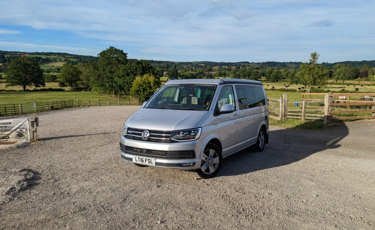 Rocky California  – 4-persoons Volkswagen California Ocean bus uit 2016