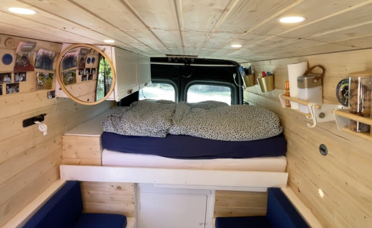 Ole – Lovingly converted camper