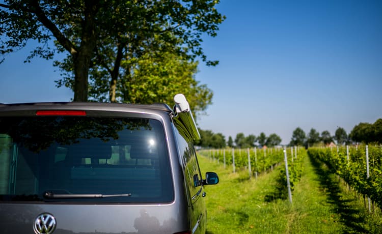 VW California 6.1 Ocean (2022) - 4 Personnes - Automatique + Porte-vélos