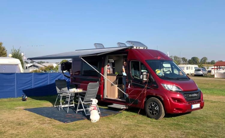 THE VAN – Buscamper Malibu 640 LE 