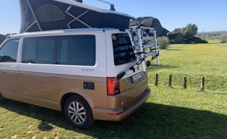 VW California automatico, opzione completa, 2021 con supporto per tavola da surf