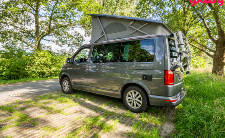 Bas – 4p Volkswagen VW6 California Ocean 2018