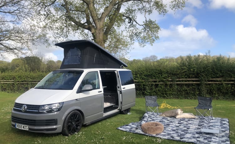 Ivy – Haustierfreundlicher VW-Wohnmobil – MK179HD Milton Keynes