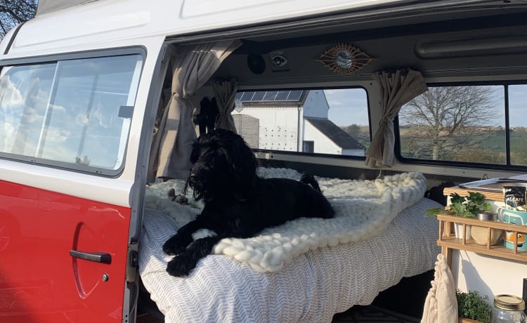 Rory – VW T2 Wohnmobil