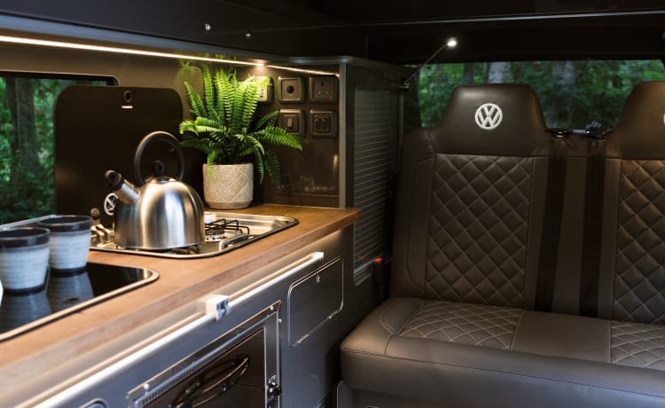 Dakota – Optimieren Sie Campervans - Volkswagen 2021 T6.1