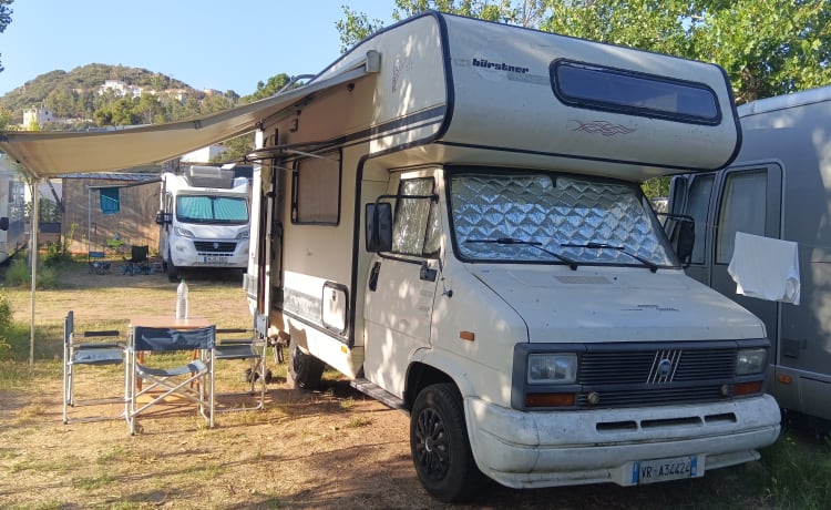 Alex – Alkoven auf Ducato 2500 Saugdiesel