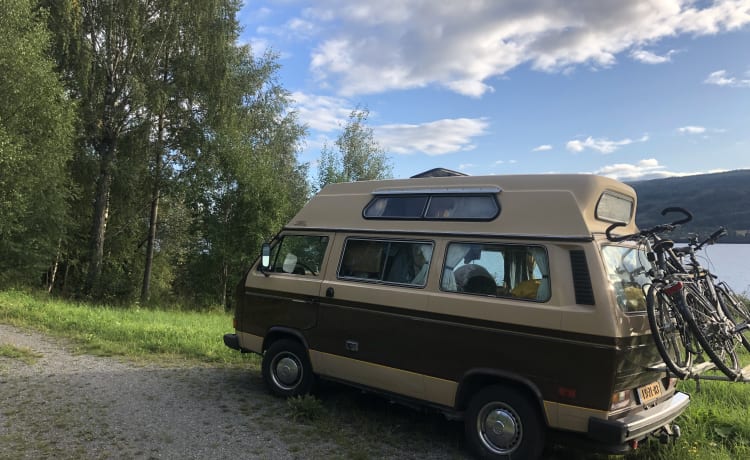 Charlie – VW T3 Adventurewagon Automatic - California Imported