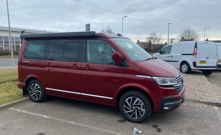 Strawberry – Neuer VW California Ocean T6.1 DSG 2.0 TDI Automatik mit Fahrassistent