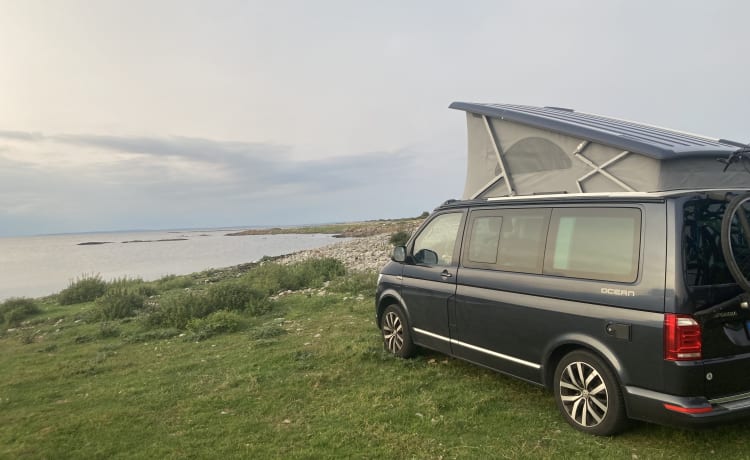 Volkswagen T6 California Ocean (origineel), 4-motion, DSG automaat