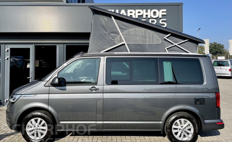 Camper Volkswagen 4p del 2022