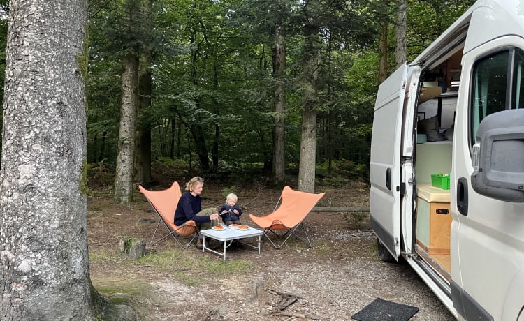 Citroen camper 