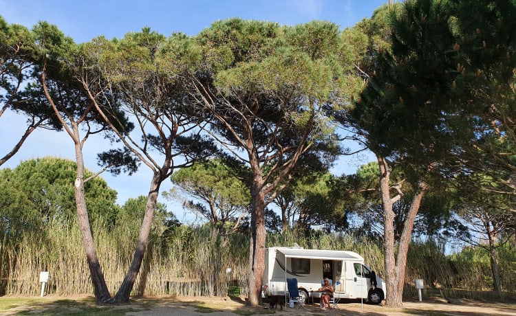 Bellissimo camper di lusso e compatto (6,40 metri) con tutto ciò che desideri...