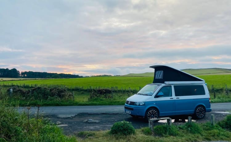 Elsie – Elsie- Prachtige Volkswagen Camper- 4 Slaapplaatsen