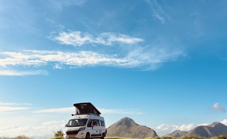 Sunlight Cliff 600RT(2022) -2/4 p- Handy and comfortable bus camper