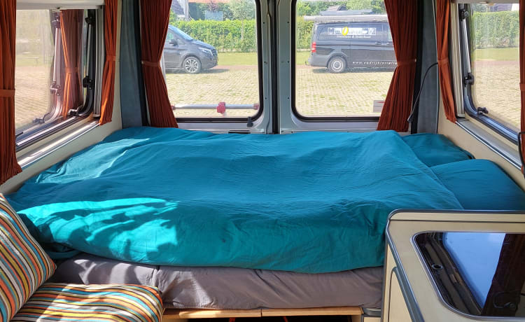 2p attractive, spacious, light Fiat bus camper