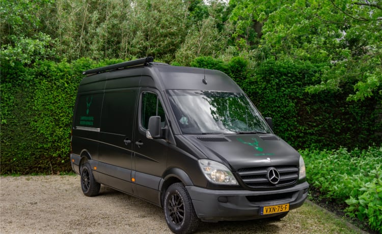 Freya – Mercedes-Benz | Sprinter | 2012