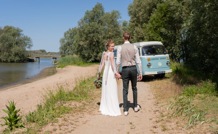 Brum – Volkswagen T2 baby blue with 6 cylinder