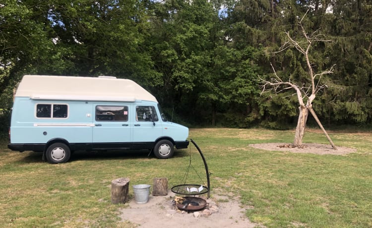 Retro daf – Retro camper bus DAF