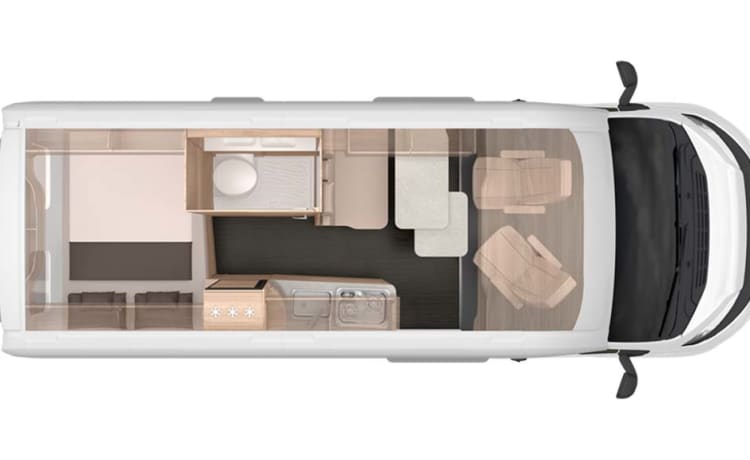 Box – 2er-Fiat-Bus aus dem Jahr 2010