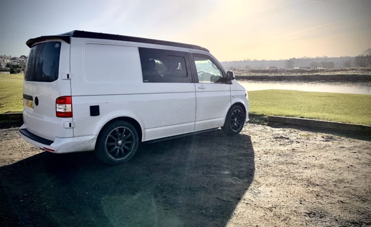 Terri – Camper VW T5 adatto ai cani - 4 posti letto