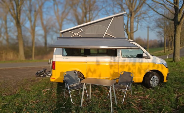 STORMY 2 – Volkswagen California Ocean NIEUW