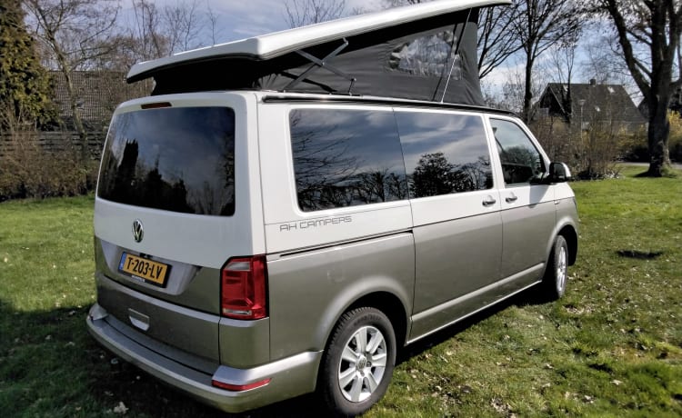 Onze trots – 2p VW Transporter T6 Buscamper 2016 mit brandneuer Innenausstattung