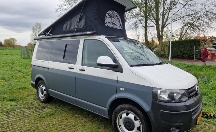 Ayo – Volkswagen Transporter tsi