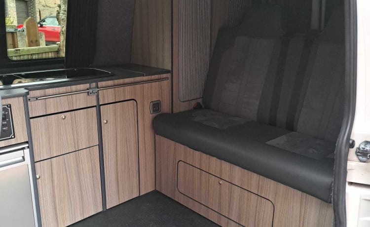 Transporter-Saurus-Rex – Transporter-Saurus-Rex... ein Volkswagen Campervan mit 4 Schlafplätzen aus dem Jahr 2010