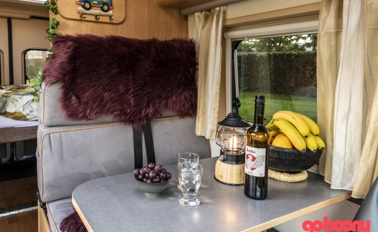 Hygge – Atmospheric camper bus for a fun adventure